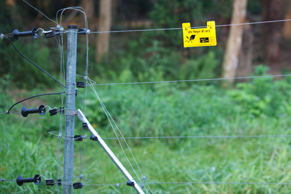 Solar Powered Electric Fencing 2