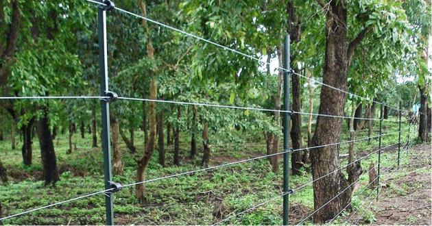 Solar Powered Electric Fencing 4